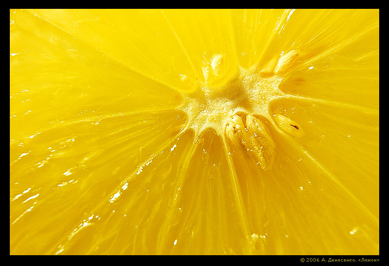 photo "Lemon" tags: macro and close-up, 