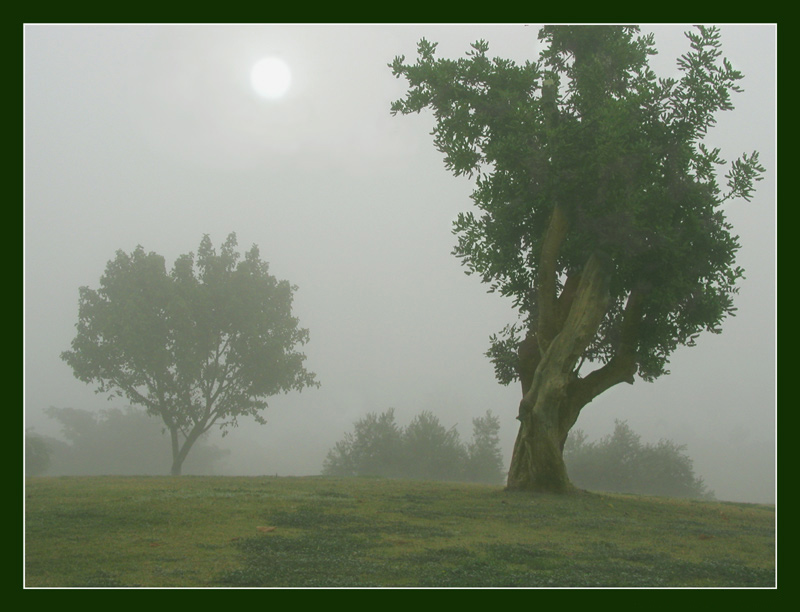 photo "Morning mists" tags: landscape, nature, 