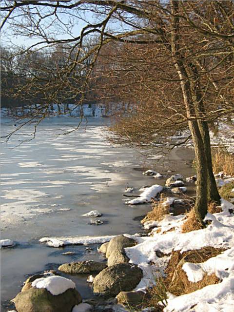 photo "Winterlake" tags: nature, 