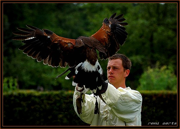 photo "young falconer" tags: portrait, nature, man, wild animals