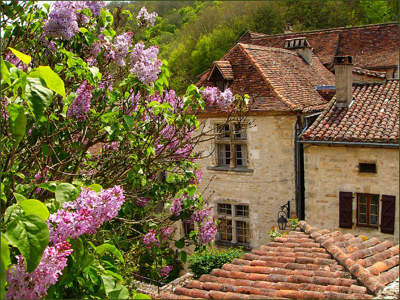 photo "End of April" tags: architecture, nature, landscape, flowers