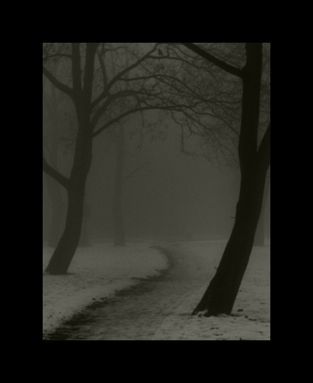 photo "polish winter" tags: black&white, landscape, winter