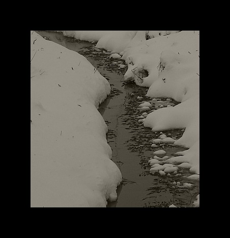 фото "polish winter2" метки: черно-белые, пейзаж, зима
