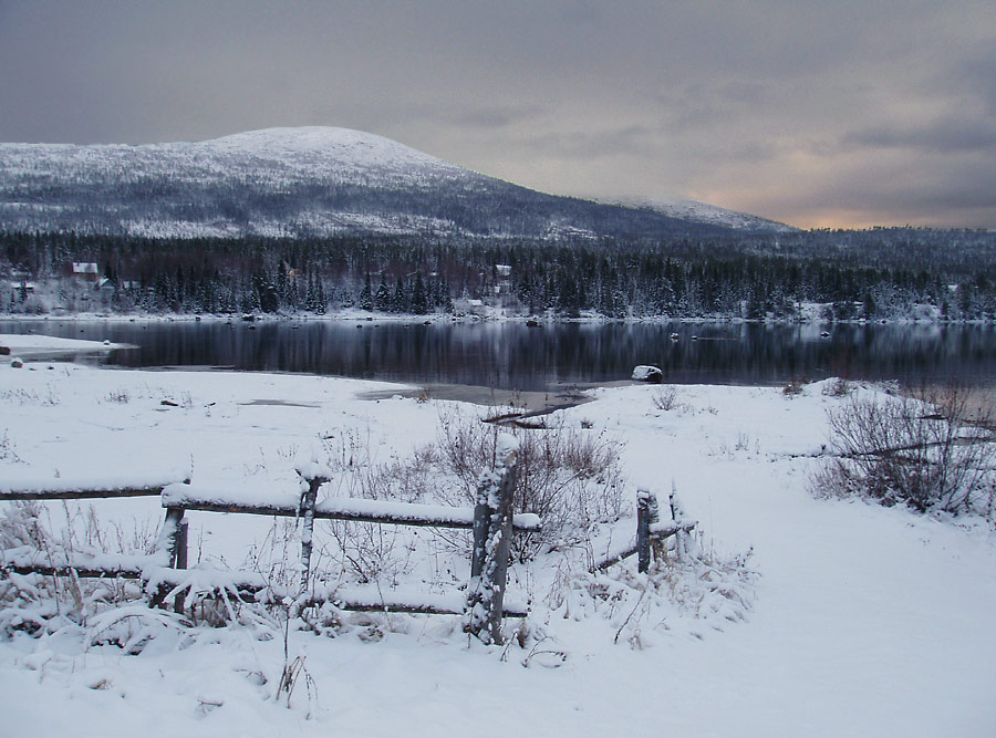 photo "* * *" tags: landscape, forest, winter