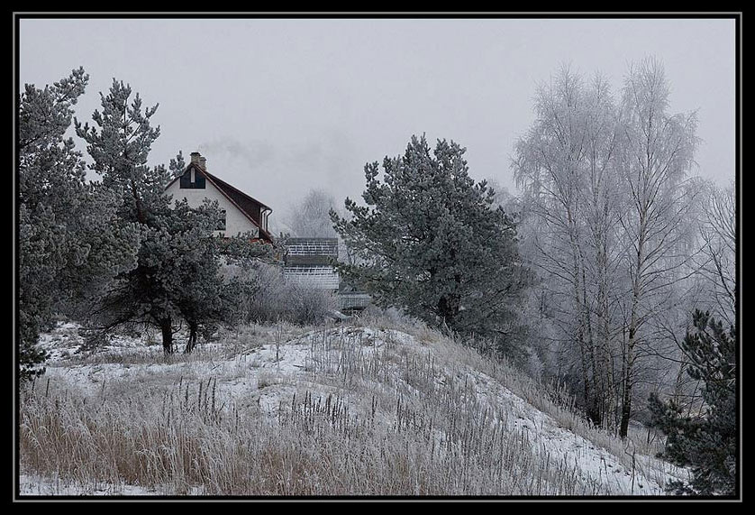 photo "Gloomy" tags: landscape, winter