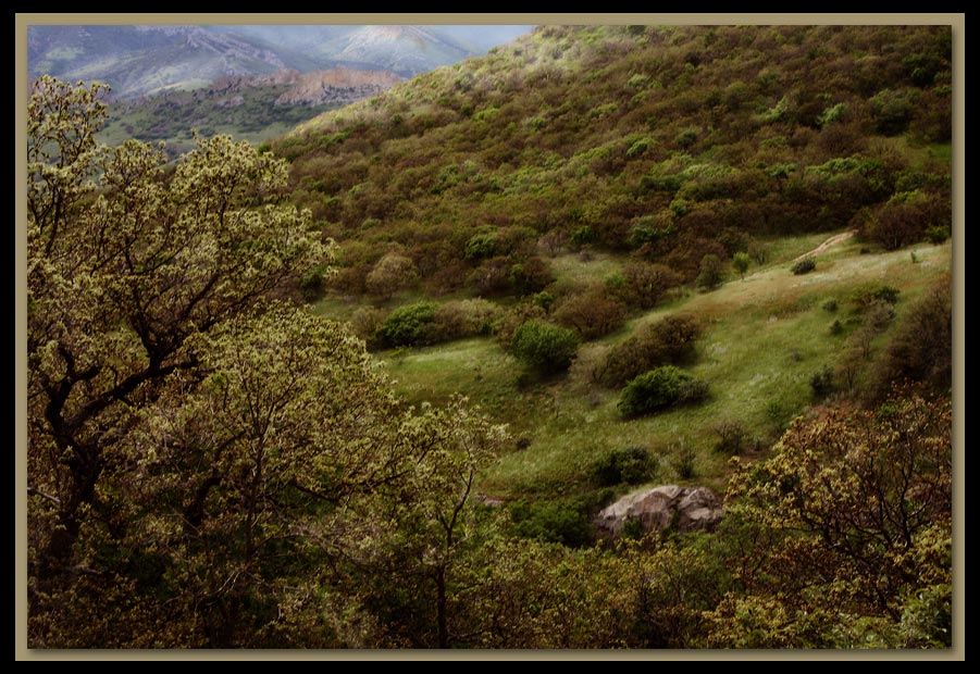 photo "Crimean view" tags: landscape, mountains