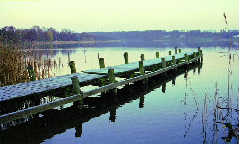 photo "Morning" tags: landscape, water, winter