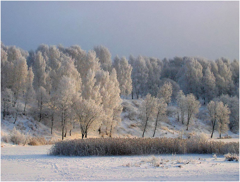 photo "On that party..." tags: landscape, sunset, winter