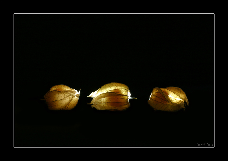 photo "***" tags: still life, 