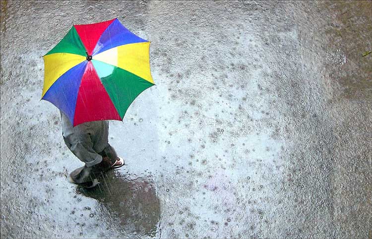 фото "Rain" метки: пейзаж, зима, осень