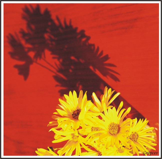 photo "Shadows" tags: still life, 