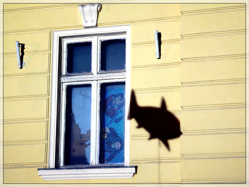photo "Go.Fish" tags: abstract, 