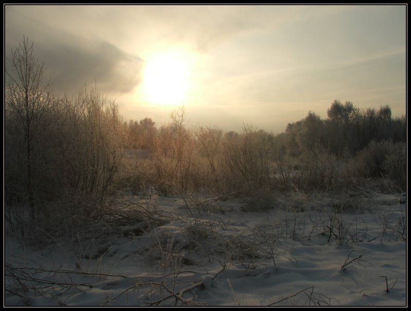фото "Зима, минус 18" метки: пейзаж, лес