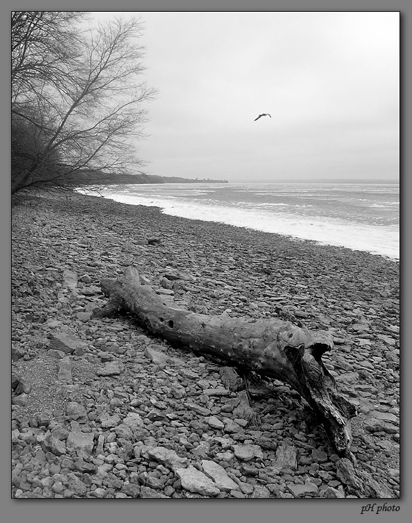 photo "estuary of Mius" tags: landscape, black&white, 