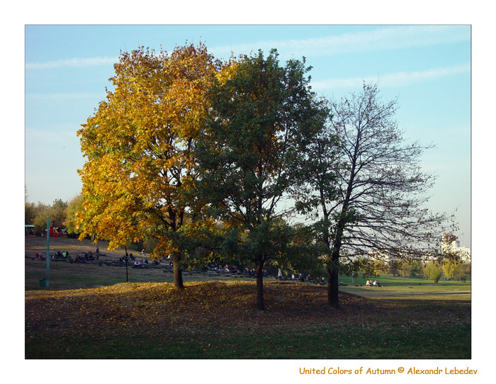 photo "United Colors of Autumn" tags: , 