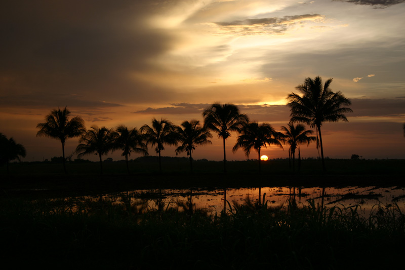 photo "The Cuban decline" tags: landscape, sunset