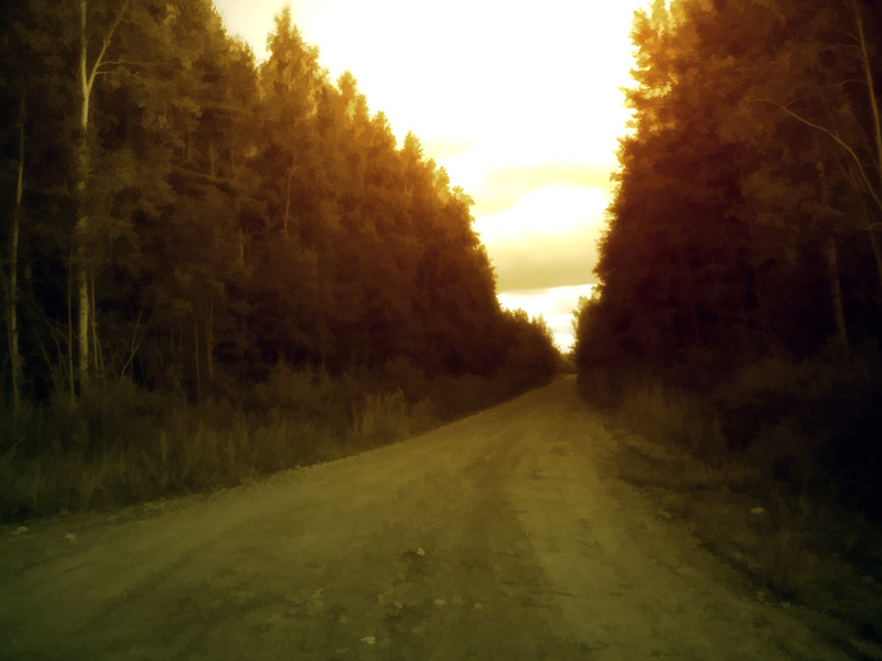 photo "a way into the fairytale" tags: landscape, autumn, forest