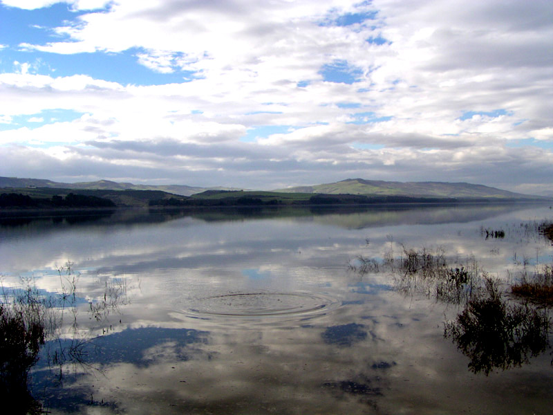 photo "Splash!" tags: landscape, water