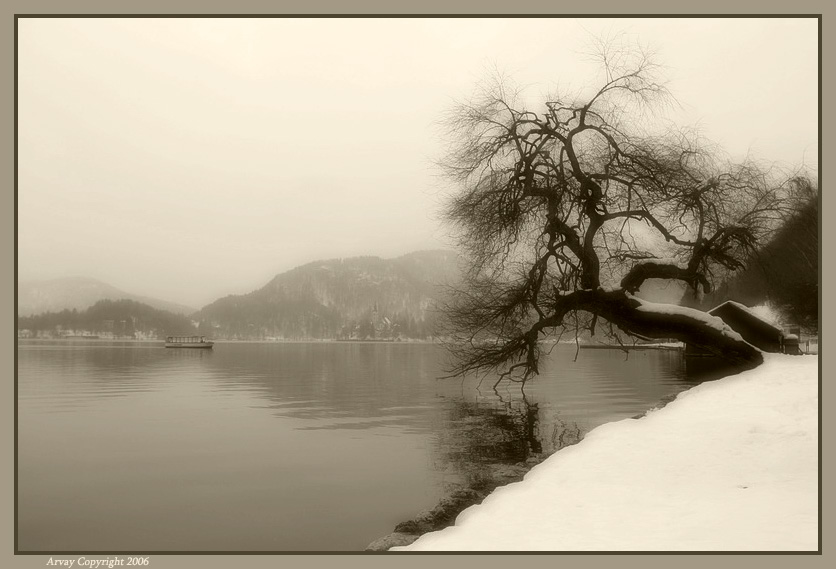 photo "The Mood" tags: landscape, water, winter