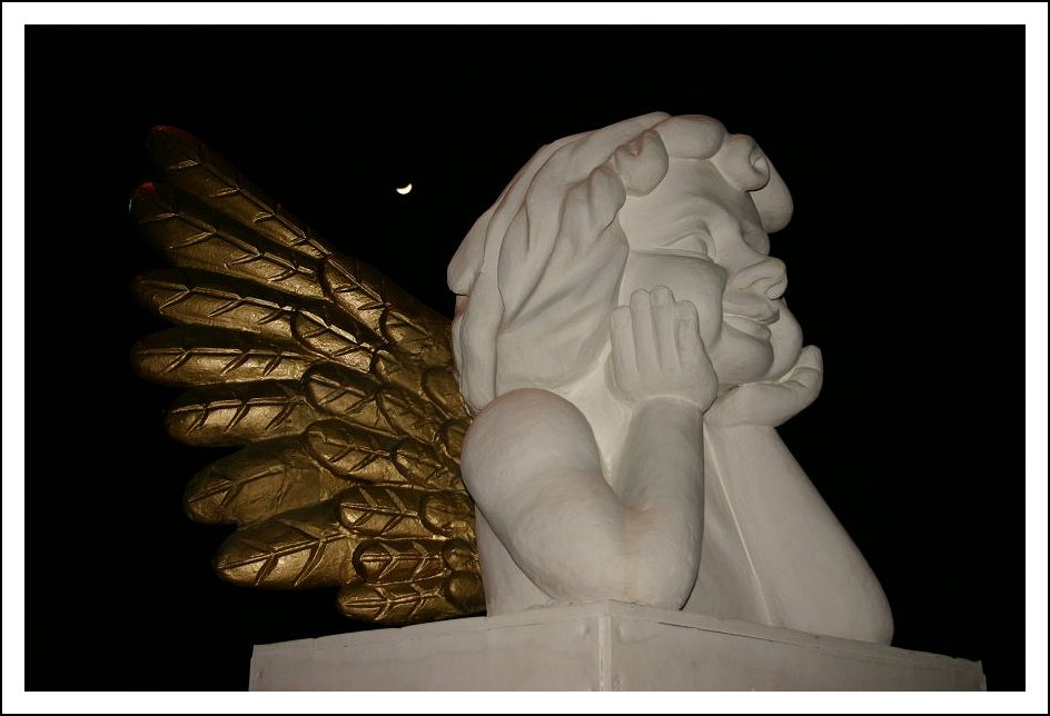 photo "White Angel in the dark" tags: still life, 