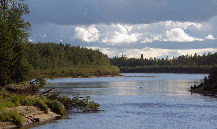 photo "Taiga river" tags: landscape, forest, water