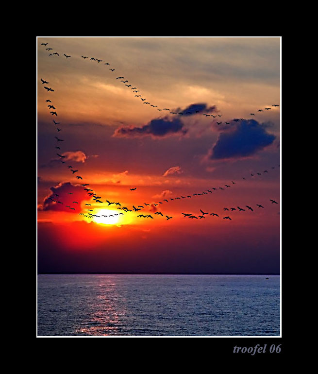 photo "canards...boat...plane" tags: landscape, travel, Europe, sunset