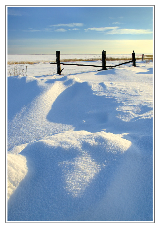 photo "In first ray" tags: landscape, winter