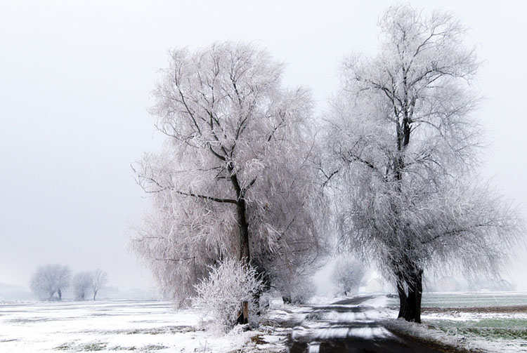 фото "***" метки: пейзаж, зима