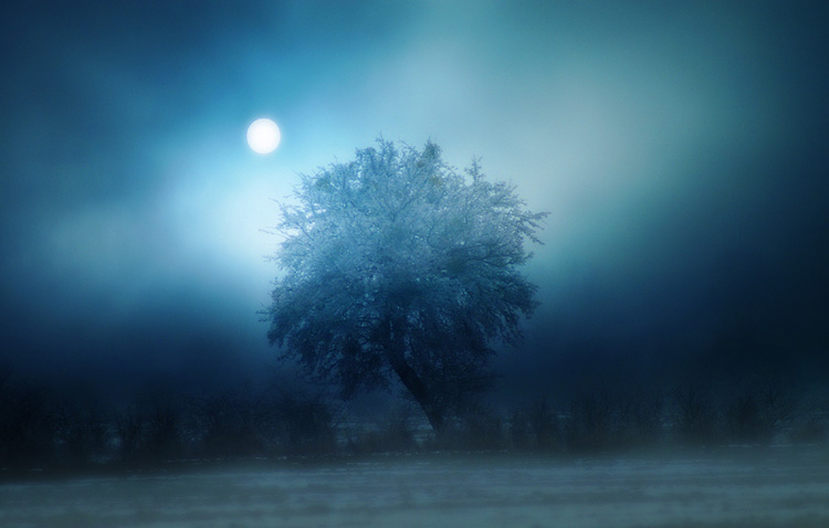 photo "***" tags: landscape, winter
