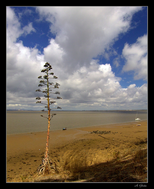 photo "Clouds" tags: landscape, clouds, water