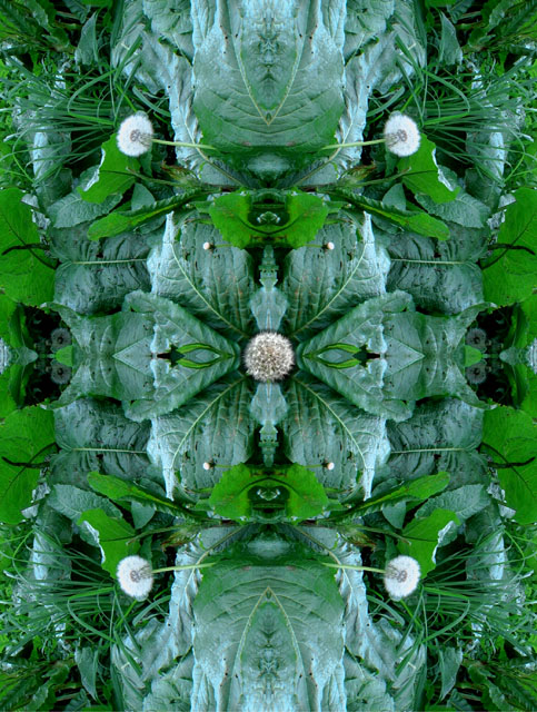 photo "***" tags: montage, 