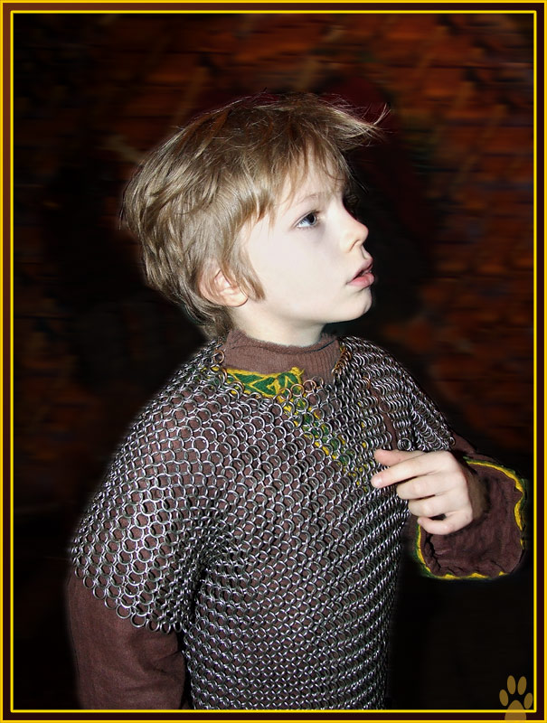 photo "Russian knight" tags: portrait, misc., children