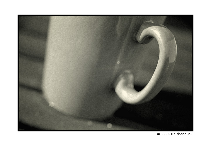 photo "Cupule" tags: still life, black&white, 