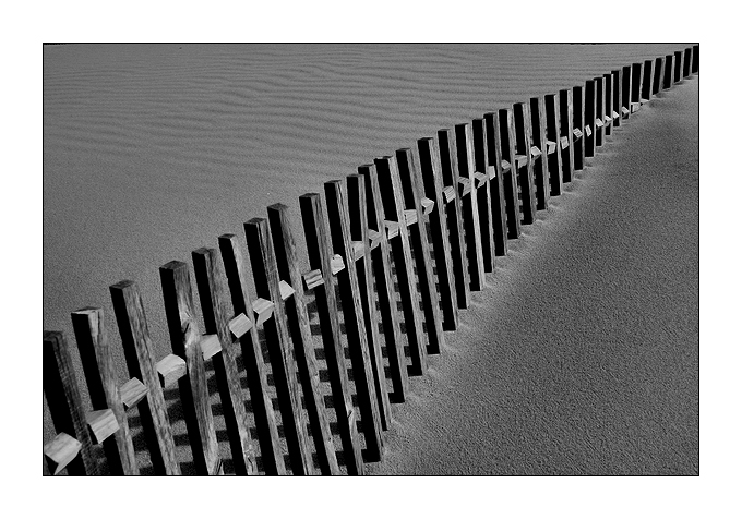 photo "Fence" tags: black&white, misc., 