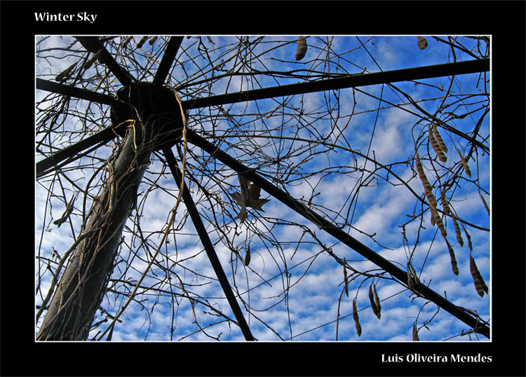 photo "winter sky" tags: landscape, winter