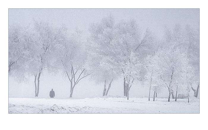 photo "Walk" tags: landscape, winter