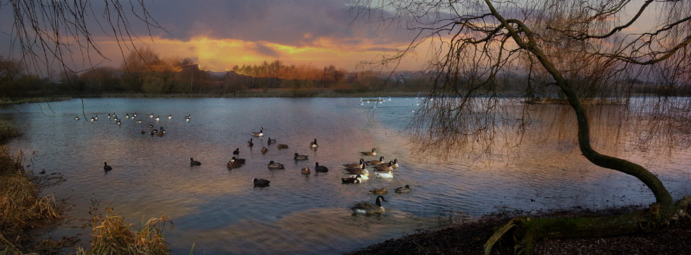 фото "beding down for the night" метки: пейзаж, вода, закат