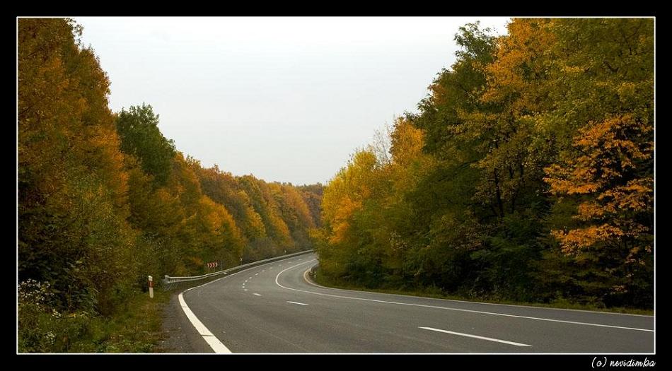 photo "highway" tags: landscape, autumn, forest