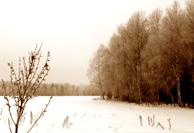 photo "***" tags: landscape, winter