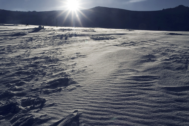 photo "Look behind" tags: landscape, winter