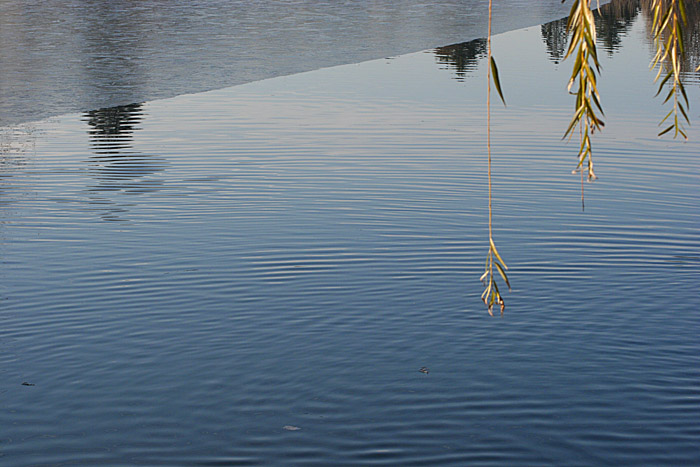 фото "First ice on the lake" метки: пейзаж, вода