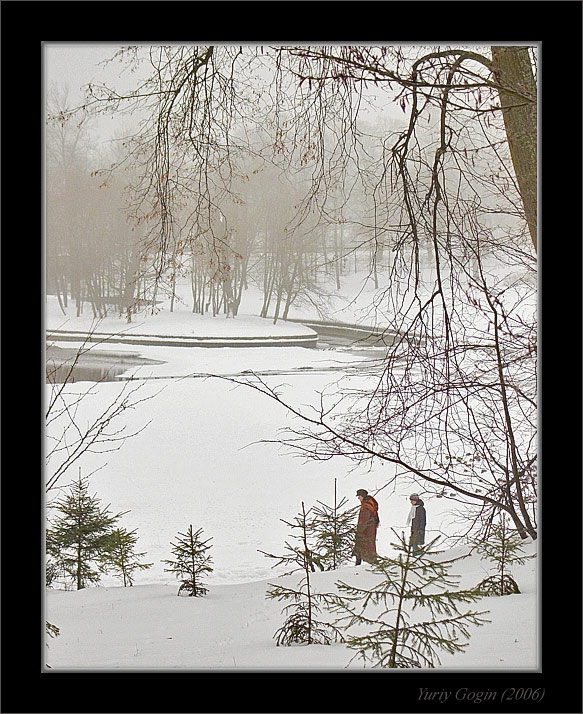 photo "Lost in winter park" tags: landscape, forest, winter