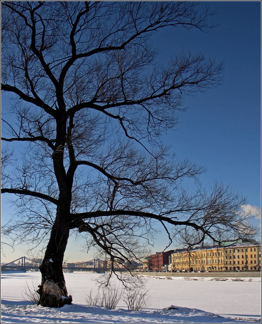 photo "Coldly! In Moscow  -27  Celsius" tags: landscape, winter