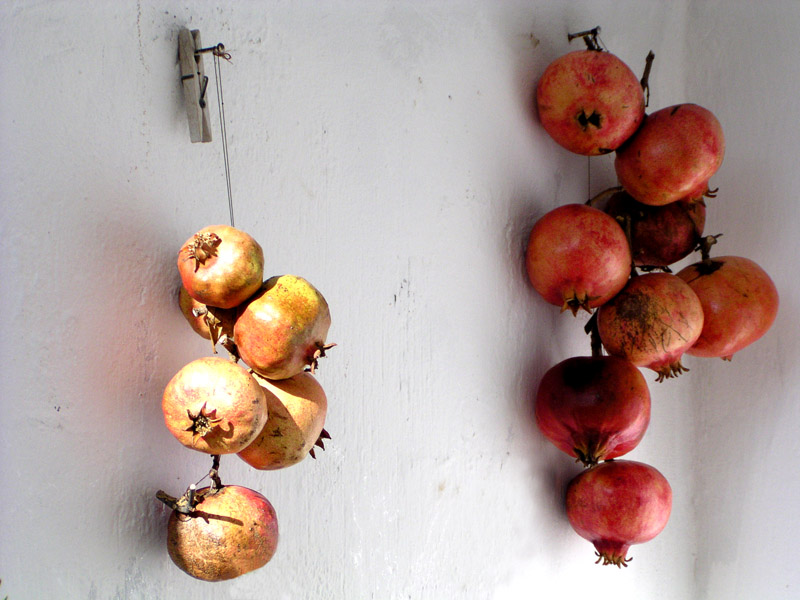 photo "Pomegranates and clothes-pin" tags: nature, landscape, flowers