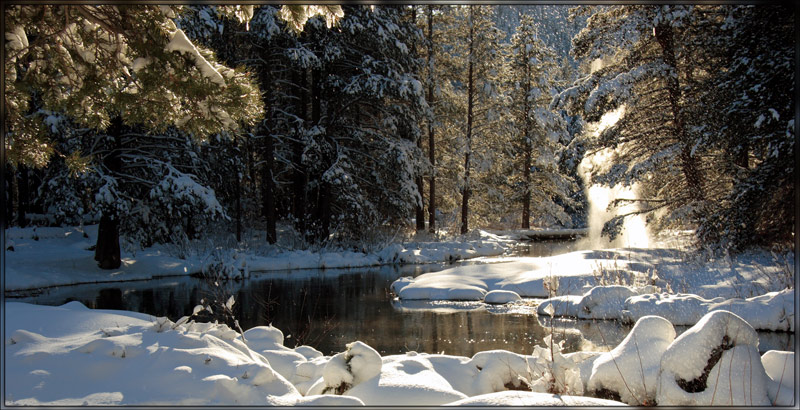 photo "Winter Creek" tags: landscape, forest, winter