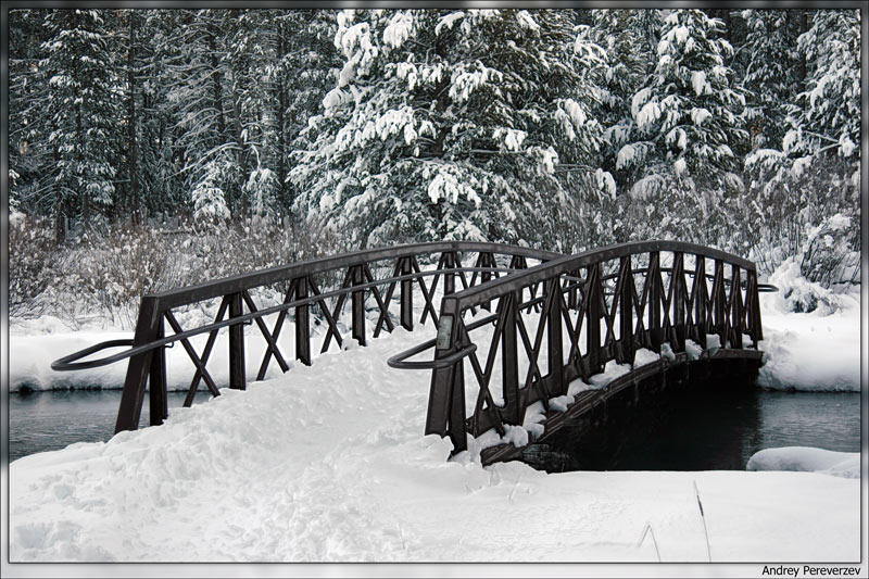 фото "После Снегопада" метки: пейзаж, зима, лес