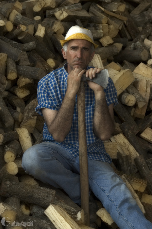 фото "the ransom firewood" метки: , 