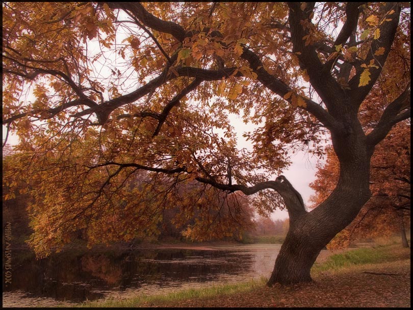 photo "***" tags: landscape, autumn