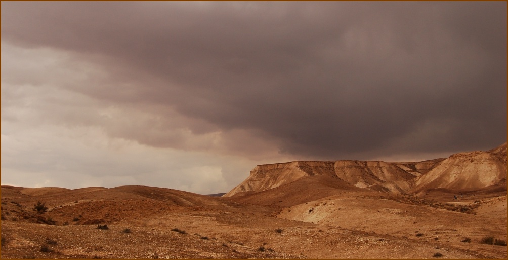 photo "Judea desert before the rain" tags: landscape, 