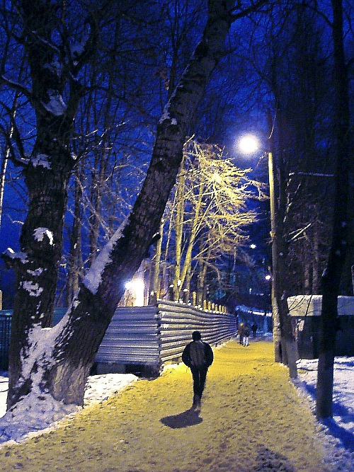 photo "***" tags: landscape, night, winter